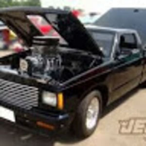 Meet your Posher, Larry